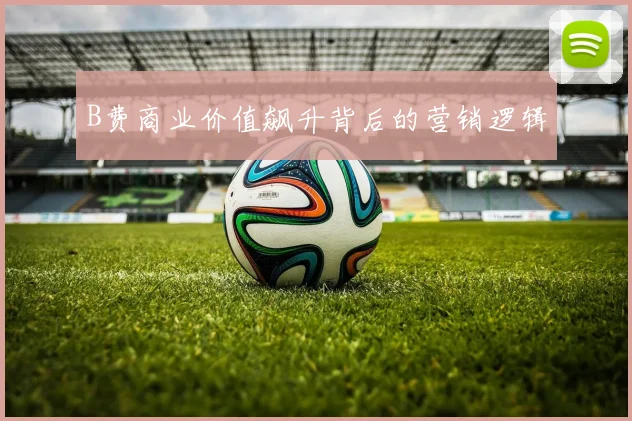 B费商业价值飙升背后的营销逻辑