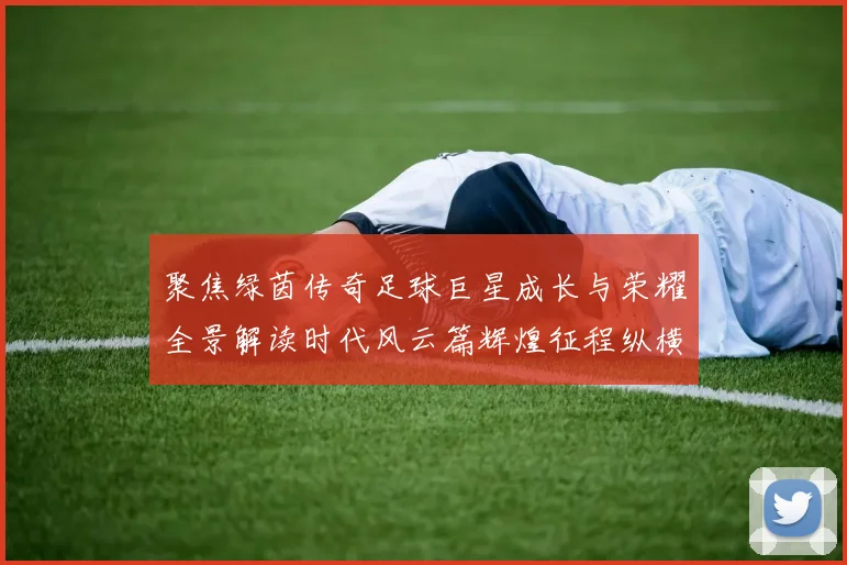 聚焦绿茵传奇足球巨星成长与荣耀全景解读时代风云篇辉煌征程纵横