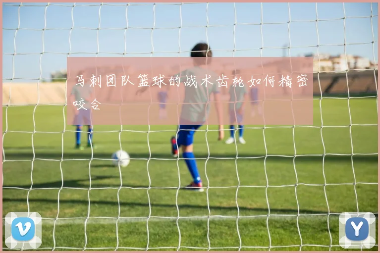 马刺团队篮球的战术齿轮如何精密咬合
